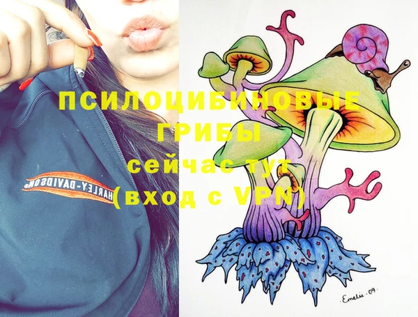 экстази Алзамай