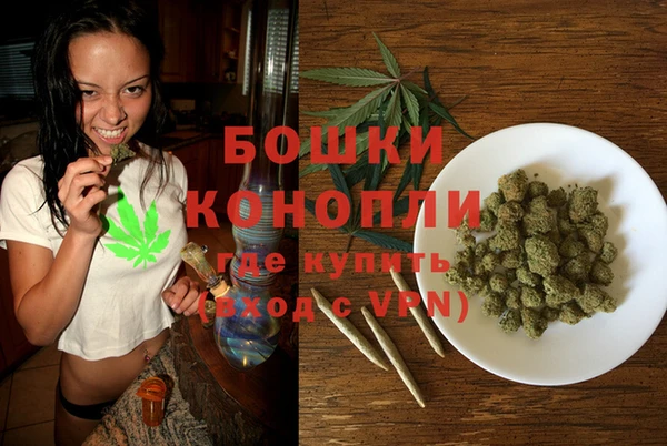 бошки Алексин