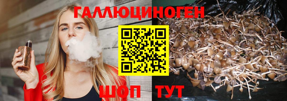Галлюциногенные грибы Cubensis Тавда