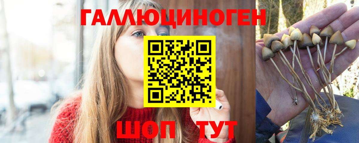 Псилоцибиновые грибы Magic Shrooms  Галлюциногенные грибы мицелий  Тавда  Вход с VPN 